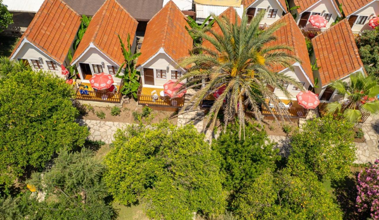Clover Magic Nova Beach Hotel Side Exterior foto