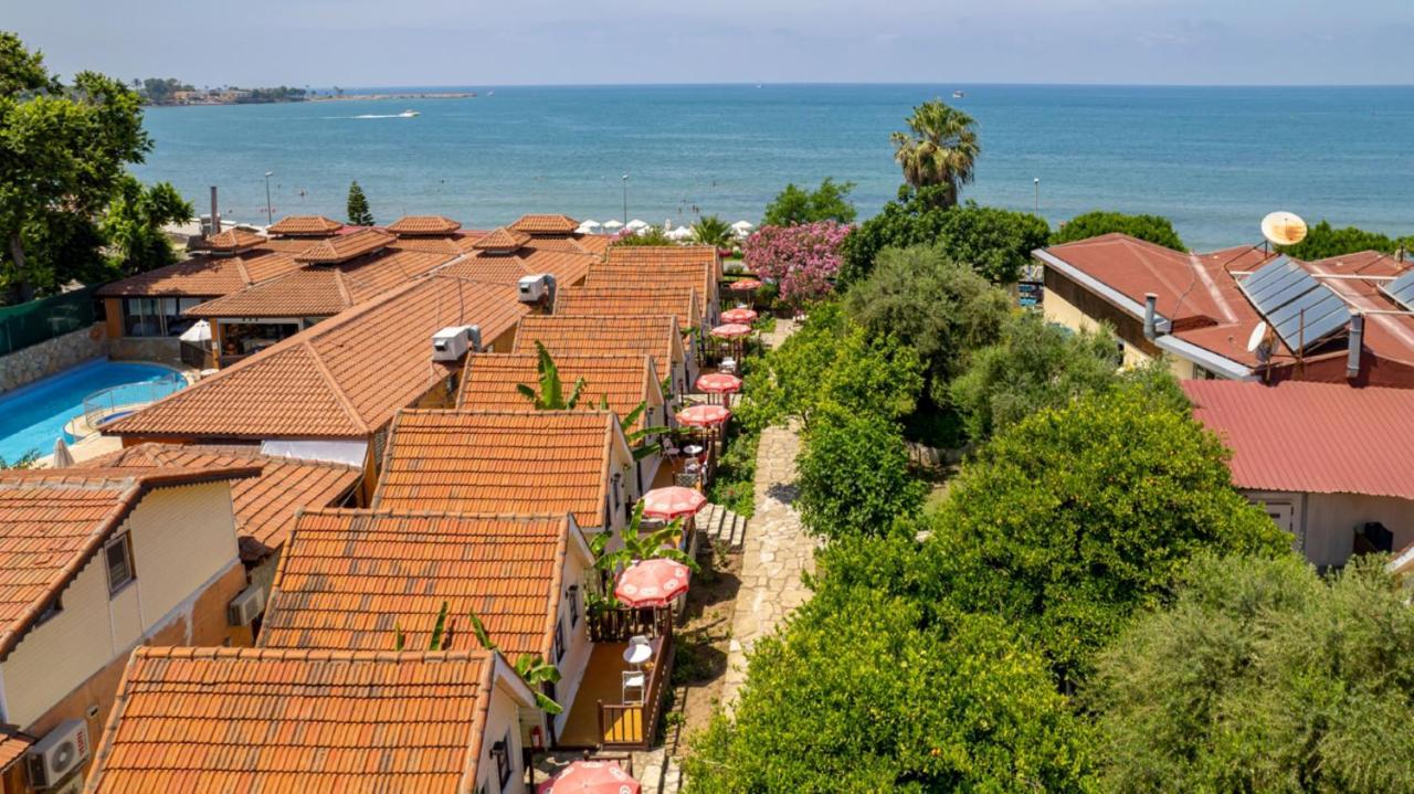 Clover Magic Nova Beach Hotel Side Exterior foto