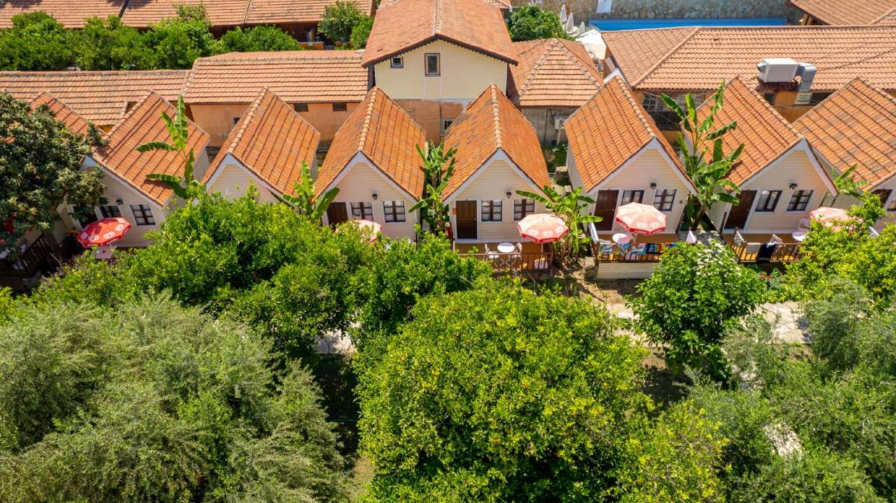 Clover Magic Nova Beach Hotel Side Exterior foto
